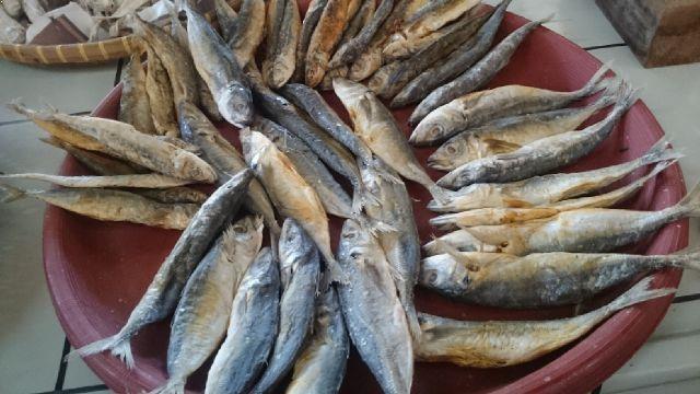 Manfaat Ikan Teri 1