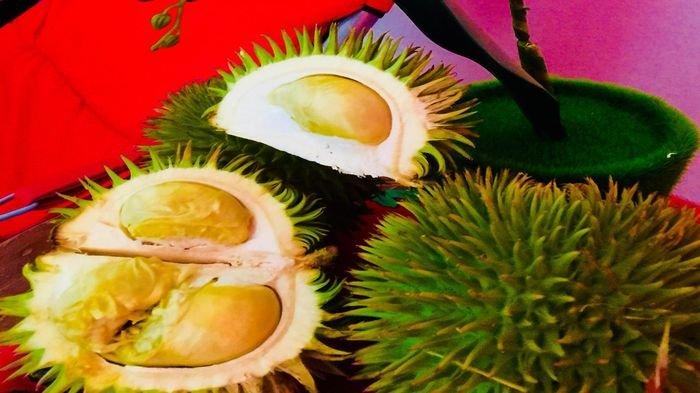 durian hutan khas muba