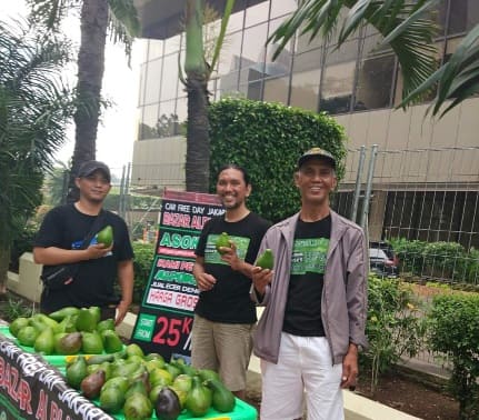 Ingin Menjadi Profesional Trader?